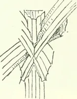 An illustration from Topographie der historischen und Kunst-Denkmale im Königreiche Böhmen von der Urzeit bis zum Anfange des XIX Jahrhundertes (1897)