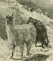 An illustration from Tops, a new American industry; a study in the development of the American worsted manufacture. The Arlington mills (1898)