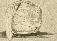 An illustration from Tops, a new American industry; a study in the development of the American worsted manufacture. The Arlington mills (1898)