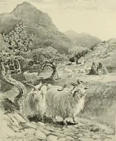 An illustration from Tops, a new American industry; a study in the development of the American worsted manufacture. The Arlington mills (1898)