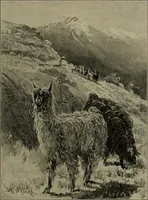An illustration from Tops, a new American industry; a study in the development of the American worsted manufacture. The Arlington mills (1898)
