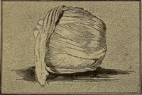 An illustration from Tops, a new American industry; a study in the development of the American worsted manufacture. The Arlington mills (1898)