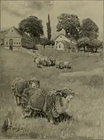 An illustration from Tops, a new American industry; a study in the development of the American worsted manufacture. The Arlington mills (1898)