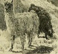 An illustration from Tops, a new American industry; a study in the development of the American worsted manufacture. The Arlington Mills .. (1898)