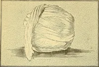 Picture 3 of 24 from Tops, a new American industry; a study in the development of the American worsted manufacture. The Arlington Mills .. (1898), leaf 16