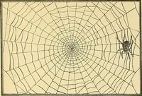 An illustration from Tops, a new American industry; a study in the development of the American worsted manufacture. The Arlington Mills .. (1898)