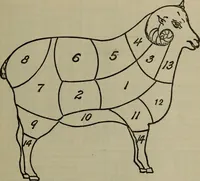 An illustration from To reduce the duties on wool and manufactures of wool ... Report (1911)