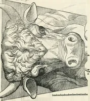 An illustration from Torelli Saraynae Veronensis leg. doct. De origine et amplitudine ciuitatis Veronæ : eiusdem de viris illustribus antiquis veronensibus, de his, qui potiti fuerunt dominio ciuitatis Veronæ, de monumentis antiquis vrbis, & agri veronensis, de interpretatione litterarum antiquarum : index præterea huius operis in calce additus est (1540)