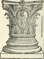 Picture 19 of 39 from Torelli Saraynae Veronensis leg. doct. De origine et amplitudine ciuitatis Veronæ : eiusdem de viris illustribus antiquis veronensibus, de his, qui potiti fuerunt dominio ciuitatis Veronæ, de monumentis antiquis vrbis, & agri veronensis, de interpretatione litterarum antiquarum : index præterea huius operis in calce additus est (1540), leaf 49