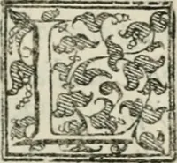 An illustration from Torneo fatto sotto il castello d'Argio da' ss. caualieri bolognesi il di IX. febraio 1578 (1578)