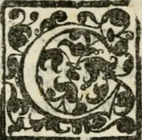 An illustration from Torneo fatto sotto il castello d'Argio da' ss. caualieri bolognesi il di IX. febraio 1578 (1578)