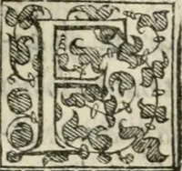 An illustration from Torneo fatto sotto il castello d'Argio da' ss. caualieri bolognesi il di IX. febraio 1578 (1578)