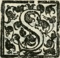 An illustration from Torneo fatto sotto il castello d'Argio da' ss. caualieri bolognesi il di IX. febraio 1578 (1578)