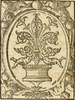 An illustration from Torneo a piedi mantenuto in Pisa dall'illustriss. et eccellentiss. s. d. Cosimo Medici, gran principe di Toscana (1603)