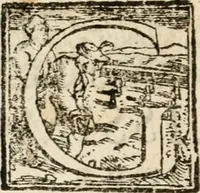 An illustration from Torneo a piedi mantenuto in Pisa dall'illustriss. et eccellentiss. s. d. Cosimo Medici, gran principe di Toscana (1603)