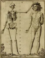 An illustration from Inleyding tot de hooge schoole der schilderkonst : anders de zichtbaere werelt : verdeelt in negen leerwinkels, yder bestiert door eene der zanggodinnen : ten hoogsten noodzakelijk, tot onderwijs, voor alle die deeze edele, vrye, en hooge konst oeffenen, of met yver zoeken te leeren, of anders eenigzins beminnen (1678)