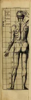 An illustration from Inleyding tot de hooge schoole der schilderkonst : anders de zichtbaere werelt : verdeelt in negen leerwinkels, yder bestiert door eene der zanggodinnen : ten hoogsten noodzakelijk, tot onderwijs, voor alle die deeze edele, vrye, en hooge konst oeffenen, of met yver zoeken te leeren, of anders eenigzins beminnen (1678)