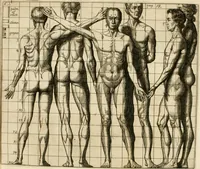 An illustration from Inleyding tot de hooge schoole der schilderkonst : anders de zichtbaere werelt : verdeelt in negen leerwinkels, yder bestiert door eene der zanggodinnen : ten hoogsten noodzakelijk, tot onderwijs, voor alle die deeze edele, vrye, en hooge konst oeffenen, of met yver zoeken te leeren, of anders eenigzins beminnen (1678)