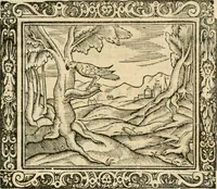 Picture 72 of 80 from Tou Hagiou Patros hemon Epiphaniou, episkopou Konstanteias Kyprou, Peri ton physiologon; tou autou Eis ta baia logos. Sancti patris nostri Epiphanii, Episcopi Constantiae Cypri, Ad physiologum; Eiusdem In die festo palmarum sermo (1587), leaf 124