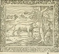 Picture 10 of 80 from Tou Hagiou Patros hemon Epiphaniou, episkopou Konstanteias Kyprou, Peri ton physiologon; tou autou Eis ta baia logos. Sancti patris nostri Epiphanii, Episcopi Constantiae Cypri, Ad physiologum; Eiusdem In die festo palmarum sermo (1587), leaf 28