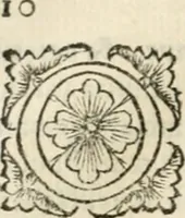 An illustration from Tou Hagiou Patros hemon Epiphaniou, episkopou Konstanteias Kyprou, Peri ton physiologon; tou autou Eis ta baia logos. Sancti patris nostri Epiphanii, Episcopi Constantiae Cypri, Ad physiologum; Eiusdem In die festo palmarum sermo (1587)