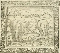 An illustration from Tou Hagiou Patros hemon Epiphaniou, episkopou Konstanteias Kyprou, Peri ton physiologon; tou autou Eis ta baia logos. Sancti patris nostri Epiphanii, Episcopi Constantiae Cypri, Ad physiologum; Eiusdem In die festo palmarum sermo (1587)