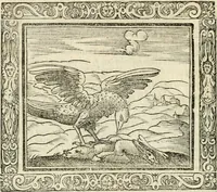 Picture 21 of 80 from Tou Hagiou Patros hemon Epiphaniou, episkopou Konstanteias Kyprou, Peri ton physiologon; tou autou Eis ta baia logos. Sancti patris nostri Epiphanii, Episcopi Constantiae Cypri, Ad physiologum; Eiusdem In die festo palmarum sermo (1587), leaf 45