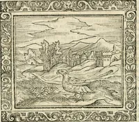 An illustration from Tou Hagiou Patros hemon Epiphaniou, episkopou Konstanteias Kyprou, Peri ton physiologon; tou autou Eis ta baia logos. Sancti patris nostri Epiphanii, Episcopi Constantiae Cypri, Ad physiologum; Eiusdem In die festo palmarum sermo (1587)