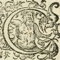 An illustration from Tou Hagiou Patros hemon Epiphaniou, episkopou Konstanteias Kyprou, Peri ton physiologon; tou autou Eis ta baia logos. Sancti patris nostri Epiphanii, Episcopi Constantiae Cypri, Ad physiologum; Eiusdem In die festo palmarum sermo (1587)