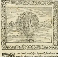 Picture 33 of 80 from Tou Hagiou Patros hemon Epiphaniou, episkopou Konstanteias Kyprou, Peri ton physiologon; tou autou Eis ta baia logos. Sancti patris nostri Epiphanii, Episcopi Constantiae Cypri, Ad physiologum; Eiusdem In die festo palmarum sermo (1587), leaf 65