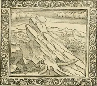 Picture 35 of 80 from Tou Hagiou Patros hemon Epiphaniou, episkopou Konstanteias Kyprou, Peri ton physiologon; tou autou Eis ta baia logos. Sancti patris nostri Epiphanii, Episcopi Constantiae Cypri, Ad physiologum; Eiusdem In die festo palmarum sermo (1587), leaf 68