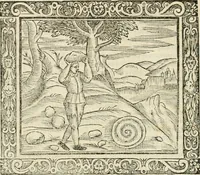 Picture 42 of 80 from Tou Hagiou Patros hemon Epiphaniou, episkopou Konstanteias Kyprou, Peri ton physiologon; tou autou Eis ta baia logos. Sancti patris nostri Epiphanii, Episcopi Constantiae Cypri, Ad physiologum; Eiusdem In die festo palmarum sermo (1587), leaf 81