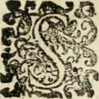 Picture 43 of 80 from Tou Hagiou Patros hemon Epiphaniou, episkopou Konstanteias Kyprou, Peri ton physiologon; tou autou Eis ta baia logos. Sancti patris nostri Epiphanii, Episcopi Constantiae Cypri, Ad physiologum; Eiusdem In die festo palmarum sermo (1587), leaf 82