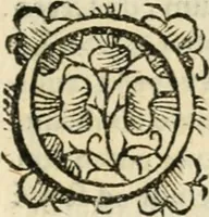 An illustration from Tou Hagiou Patros hemon Epiphaniou, episkopou Konstanteias Kyprou, Peri ton physiologon; tou autou Eis ta baia logos. Sancti patris nostri Epiphanii, Episcopi Constantiae Cypri, Ad physiologum; Eiusdem In die festo palmarum sermo (1587)