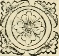 Picture 48 of 80 from Tou Hagiou Patros hemon Epiphaniou, episkopou Konstanteias Kyprou, Peri ton physiologon; tou autou Eis ta baia logos. Sancti patris nostri Epiphanii, Episcopi Constantiae Cypri, Ad physiologum; Eiusdem In die festo palmarum sermo (1587), leaf 87