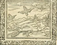 An illustration from Tou Hagiou Patros hemon Epiphaniou, episkopou Konstanteias Kyprou, Peri ton physiologon; tou autou Eis ta baia logos. Sancti patris nostri Epiphanii, Episcopi Constantiae Cypri, Ad physiologum; Eiusdem In die festo palmarum sermo (1587)