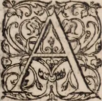 An illustration from [Tou megalou Hippocratous pantōn tōn iatrōn koryphaiou ta euriskomena (romanized form)] Magni Hippocratis, medicorum omnium facile principis, opera omnia quae extant: in VIII. sectiones ex Erotiani mente distributa. Nunc denuo latina interpretatione & annotationibus illustrata, Anutio Foesio (1657)