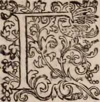 An illustration from [Tou megalou Hippocratous pantōn tōn iatrōn koryphaiou ta euriskomena (romanized form)] Magni Hippocratis, medicorum omnium facile principis, opera omnia quae extant: in VIII. sectiones ex Erotiani mente distributa. Nunc denuo latina interpretatione & annotationibus illustrata, Anutio Foesio (1657)