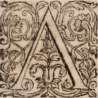 An illustration from [Tou megalou Hippocratous pantōn tōn iatrōn koryphaiou ta euriskomena (romanized form)] Magni Hippocratis, medicorum omnium facile principis, opera omnia quae extant: in VIII. sectiones ex Erotiani mente distributa. Nunc denuo latina interpretatione & annotationibus illustrata, Anutio Foesio (1657)