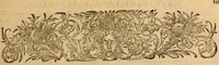Picture 15 of 90 from Tou en agiois patros emon Athanasiou Archiepiskopou Alexandreias Ta euriskomena apanta. = B. Athanasii archiepiscopi Alexandrini Opera qvæ reperivntvr omnia, : in dvos tomos tribvta. Græce nunc primùm (ex Mss. Codd. Basil. Cantabrig. Palatm. & aliis) in lucem data, cum interpretatione Latine Petri Nannii ... Accesserunt fragmenta varia: notæ variarum lectionum: index triplex (1601), leaf 132