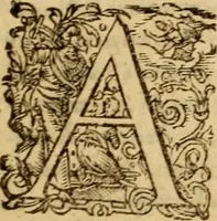 Picture 67 of 90 from Tou en agiois patros emon Athanasiou Archiepiskopou Alexandreias Ta euriskomena apanta. = B. Athanasii archiepiscopi Alexandrini Opera qvæ reperivntvr omnia, : in dvos tomos tribvta. Græce nunc primùm (ex Mss. Codd. Basil. Cantabrig. Palatm. & aliis) in lucem data, cum interpretatione Latine Petri Nannii ... Accesserunt fragmenta varia: notæ variarum lectionum: index triplex (1601), leaf 748