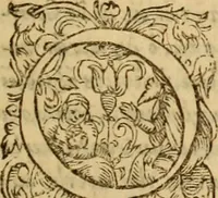 Picture 72 of 90 from Tou en agiois patros emon Athanasiou Archiepiskopou Alexandreias Ta euriskomena apanta. = B. Athanasii archiepiscopi Alexandrini Opera qvæ reperivntvr omnia, : in dvos tomos tribvta. Græce nunc primùm (ex Mss. Codd. Basil. Cantabrig. Palatm. & aliis) in lucem data, cum interpretatione Latine Petri Nannii ... Accesserunt fragmenta varia: notæ variarum lectionum: index triplex (1601), leaf 788
