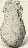 Picture 43 of 44 from A tour, performed in the years 1795-6, through the Taurida, or Crimea, the antient kingdom of Bosphorus, the once-powerful republic of Tauric Cherson, and all the other countries on the north shore of the Euxine, ceded to Russia by the peace of Kainardgi and Jassy; (1802), leaf 201