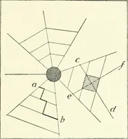 An illustration from Town planning, past, present and possible (1911)