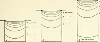 Picture 85 of 146 from Town planning, past, present and possible (1911), leaf 288