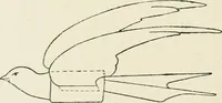 An illustration from Toy-making in school and home (1916)