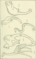 An illustration from Toy-making in school and home (1916)