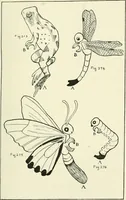 An illustration from Toy-making in school and home (1916)