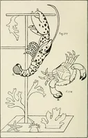 An illustration from Toy-making in school and home (1916)