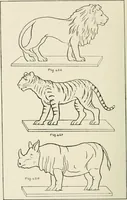 An illustration from Toy-making in school and home (1916)